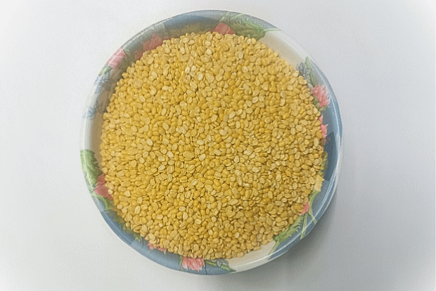 Mogar yellow